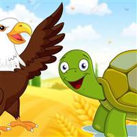 TurTle and EaGle