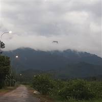 Tô Sáng