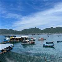 Lương Trần