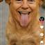 Trump Partky