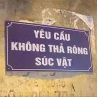 F0 năm thứ N