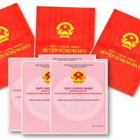 Bắt Lấy Cơ Hội 
