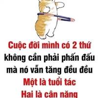 Nội Trợ Fulltime