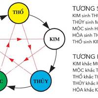 Vua Chứng ( Chứng Dái )