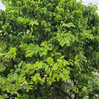 Khi Nào Về Bờ Sẽ Đổi Tên