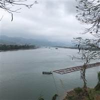 Chứng Khoán Verandah