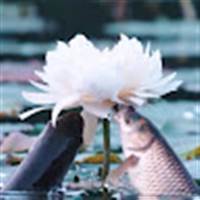 Phan_vo family Cuộc sống tươi đẹp!