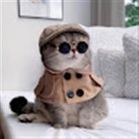 Minh Nghia Nguyen Tran