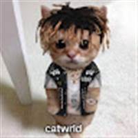 Lê Đường Minh Hoàng