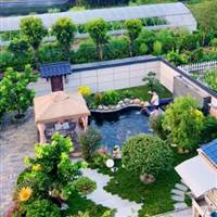 CHIẾN THẦN PHÁI SINH