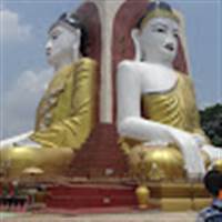 Ngát Đặng Đình