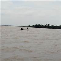 Duy Thiện Đỗ