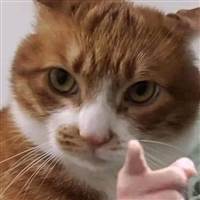 Kẻ Sống Xót Cuối Cùng Là Kẻ Chiến Thắng