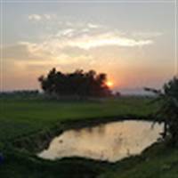 Trai Ức