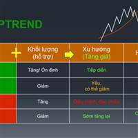 P&F Chartist