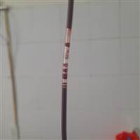 CLB 1000 Tỏi