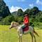 Duy 0903265095