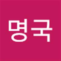 조명국