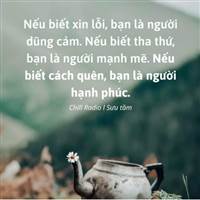 Chuyên Đi Comment Dạo 🤭