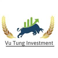 VU TUNG INVESTMENT