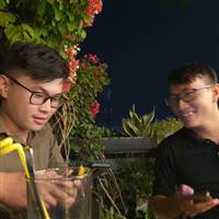 Họ Nguyễn