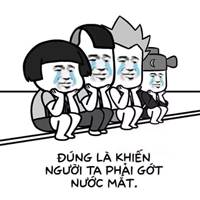 🫥Hoa TTH🫠