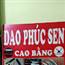 Dao Phúc Sen Cao Bằng