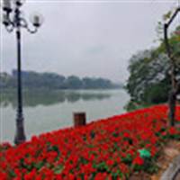 Linh Nguyễn Đức