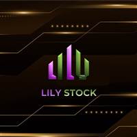 Lily Stock