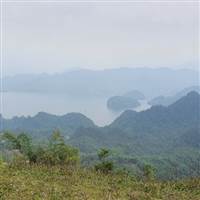 Đợi sàn