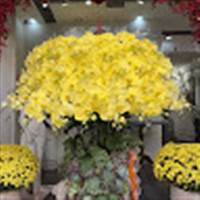 Hiểu Lam Nguyễn Huỳnh