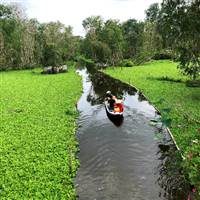 Nguyện Nguyễn