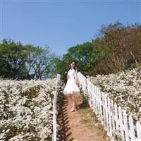 Vu Huong