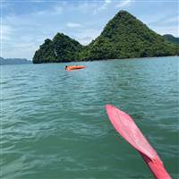 Bạn Của Sơn Vú