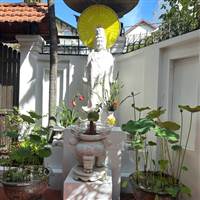 Thao Đình Nguyễn