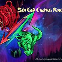 Sói Già Chứng Khoán