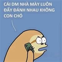 Đinh Quý