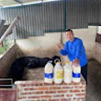 Sa Lem Chồng Thái (Life Smile')