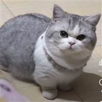 Thế Bùi Hoàng