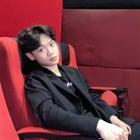 Tuan Anh Lo Viet