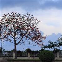 Lê Văn Lợi