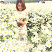 Binh Vu