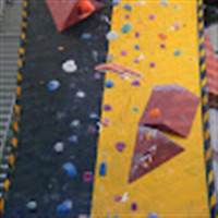 Dung Phùng (Daisy Phung)