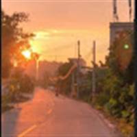 23. Dương Linh 12A1