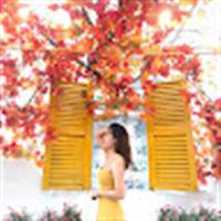 Bùi Thị Ngọc Trâm