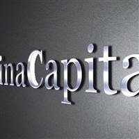 Vina Capital