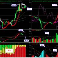 Homily Stock