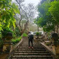Quân Trịnh Văn
