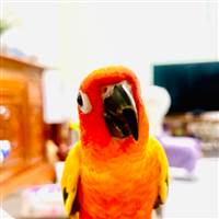 Mr.U_known