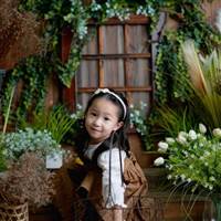 Tường Vy